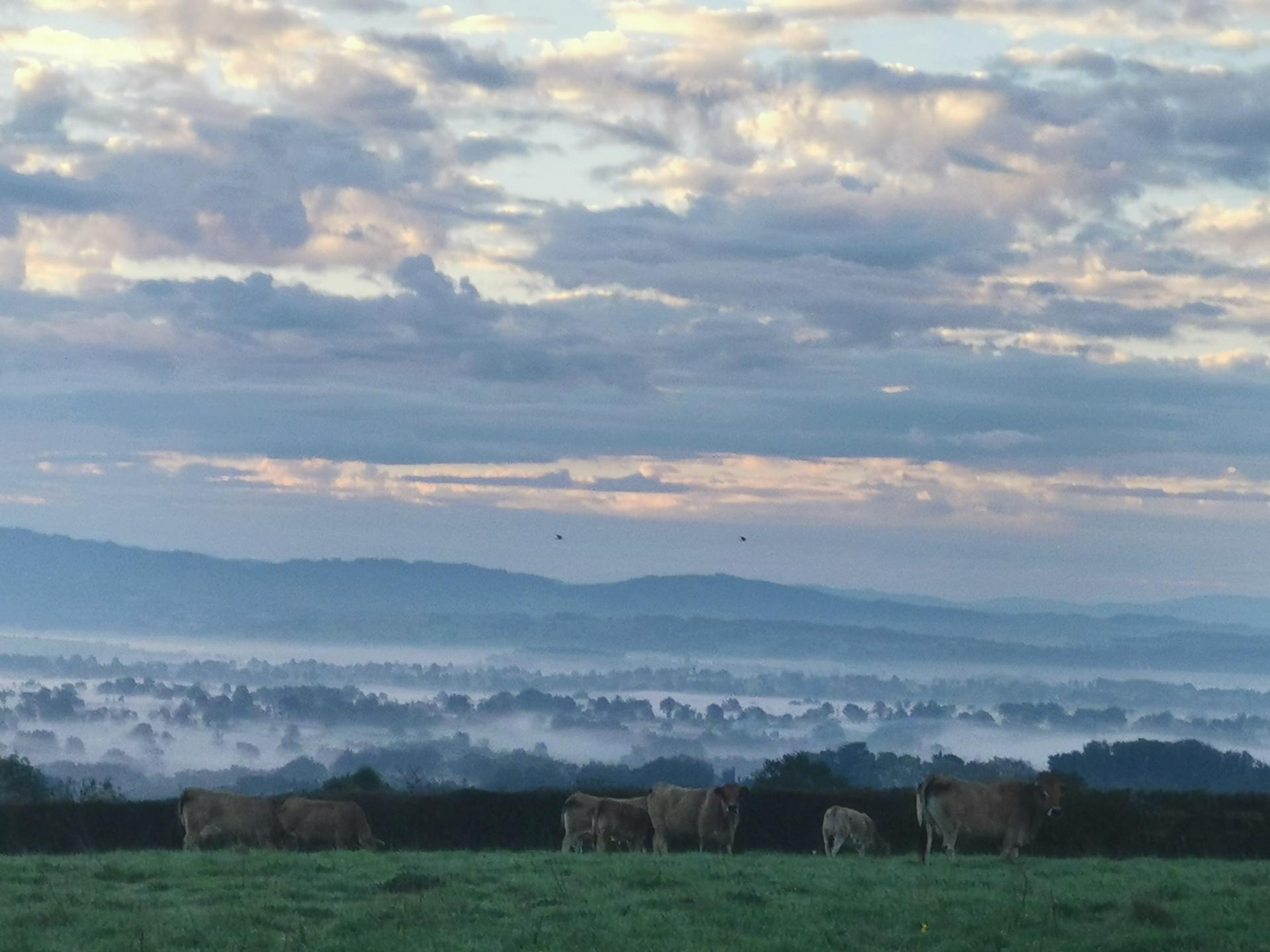 Ligny et les environs dans le brouillard