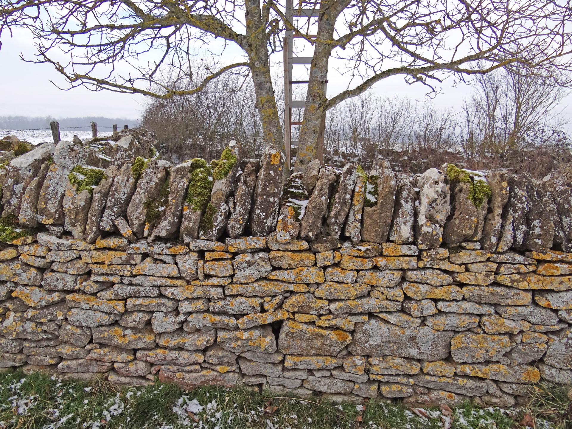 Muret de pierre du Brionnais