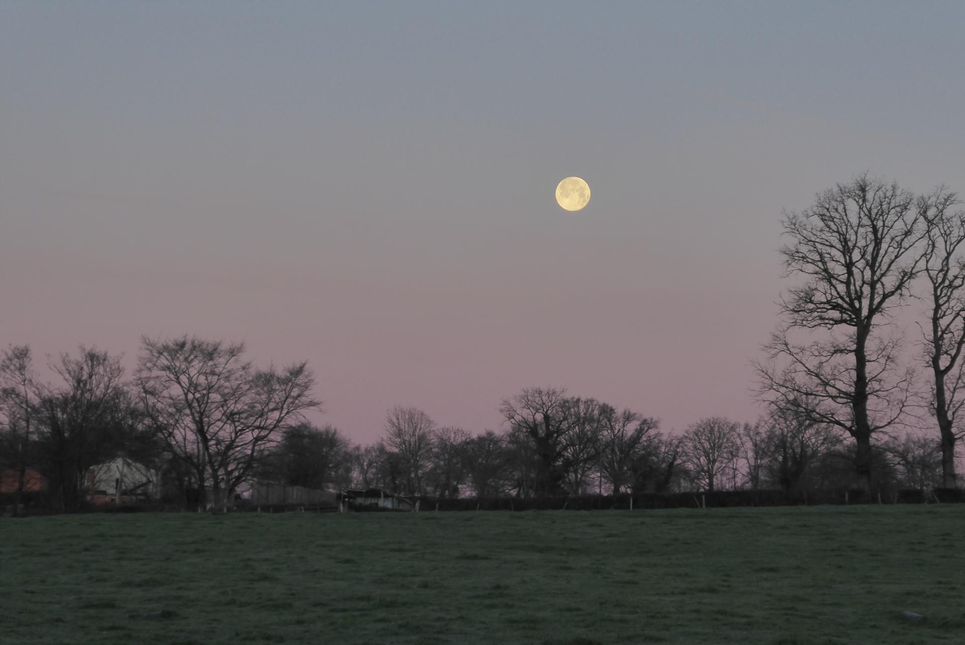 Pleine lune du loup janvier 2023