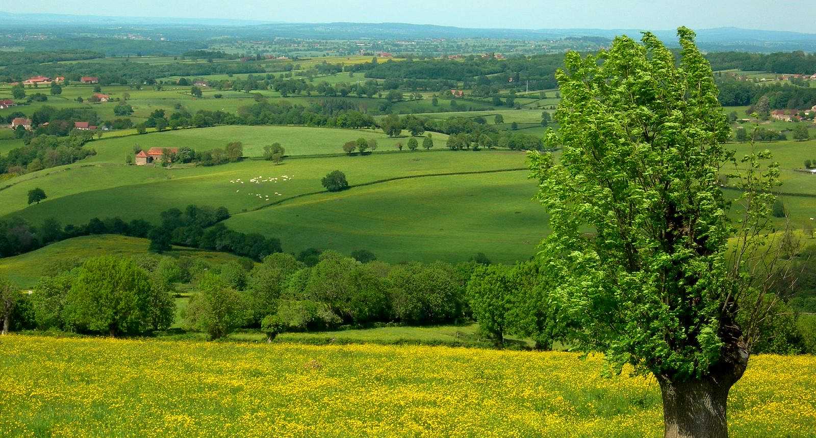 Vue en Brionnais