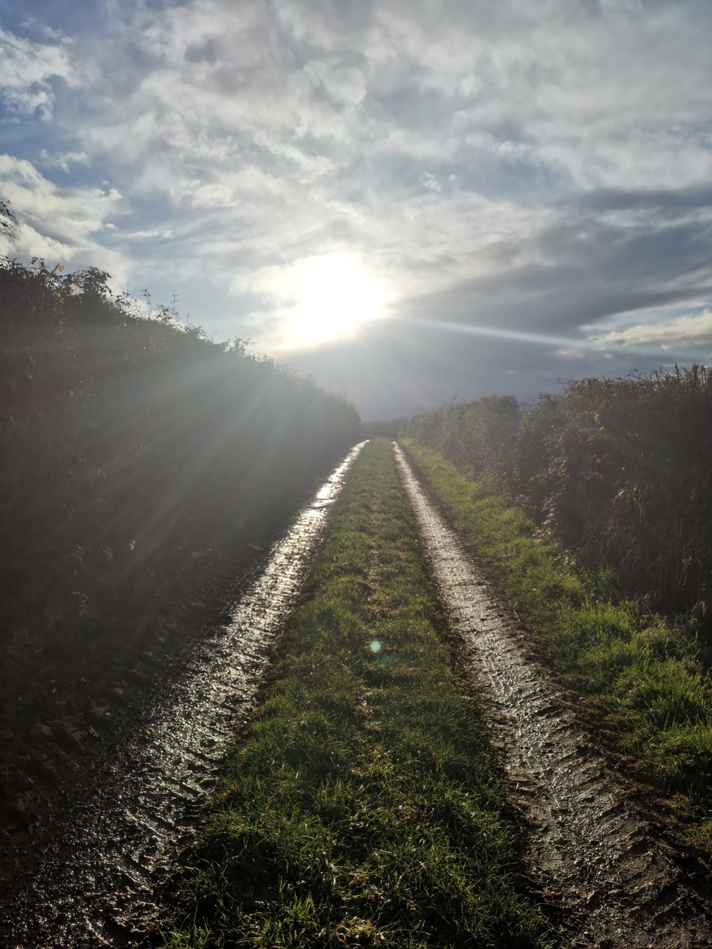 Chemin Ligny en Brionnais