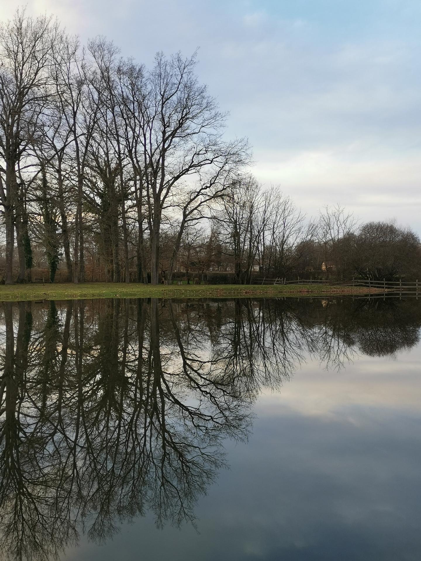 Etang de Beauvernay (Vauban)