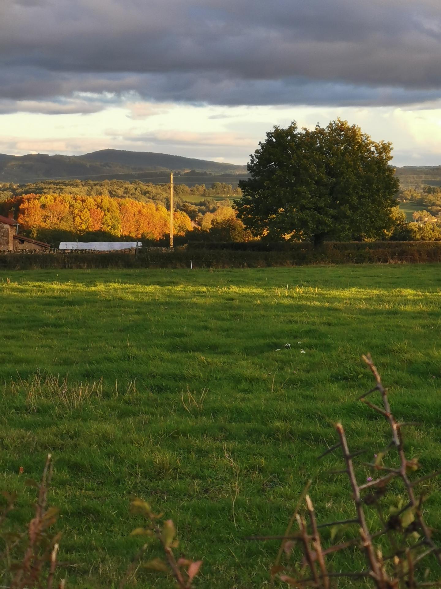 Couleur d'automne